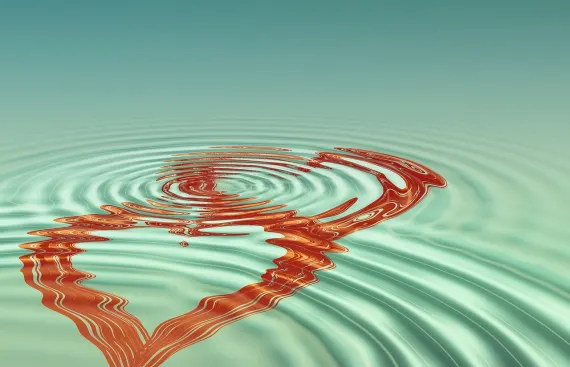 Vanguards Casino Ondersteuning